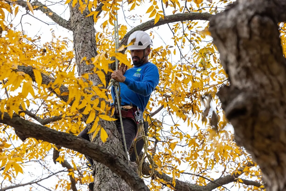 Skilled Storm Damage Cleanup crew working in New Home